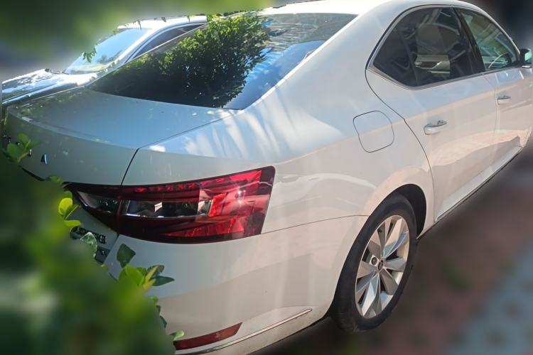 Used Skoda Superb 2018 TSI330 DSG Comfort Edition China V Standard Rear