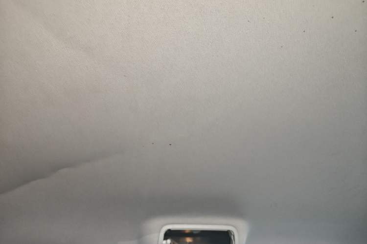 Used Skoda Yeti 2014 1.8TSI DSG Polar Edition Headliner