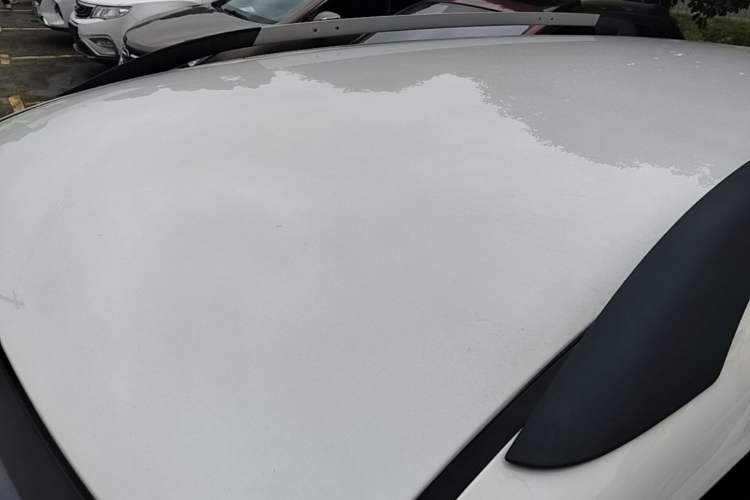 Used Skoda Yeti 2014 1.8TSI DSG Polar Edition Roof
