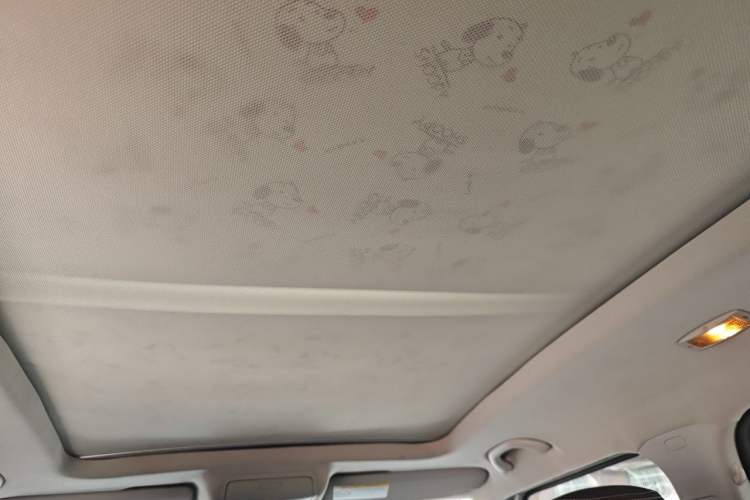 Used Skoda Yeti 2016 1.4TSI DSG Advanced Edition Headliner