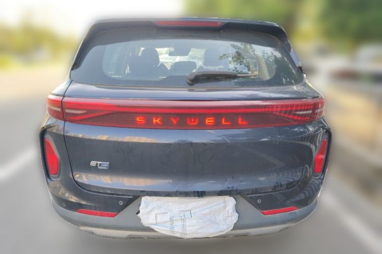 Used Skyworth ET5 2020 Mingxin Health Edition 410 km Rear