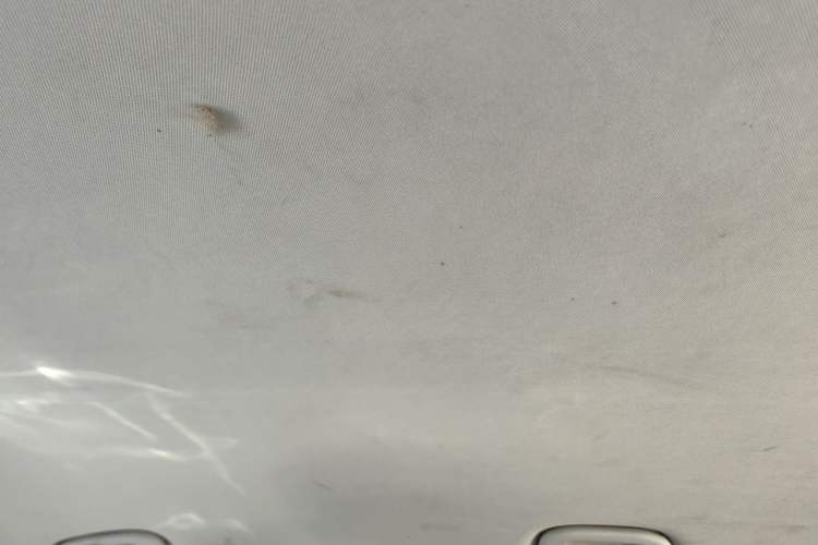 Used Skyworth EV6 2021 620 Joyful Edition Headliner