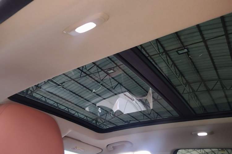 Used Skyworth EV6 2023 President's Edition Headliner