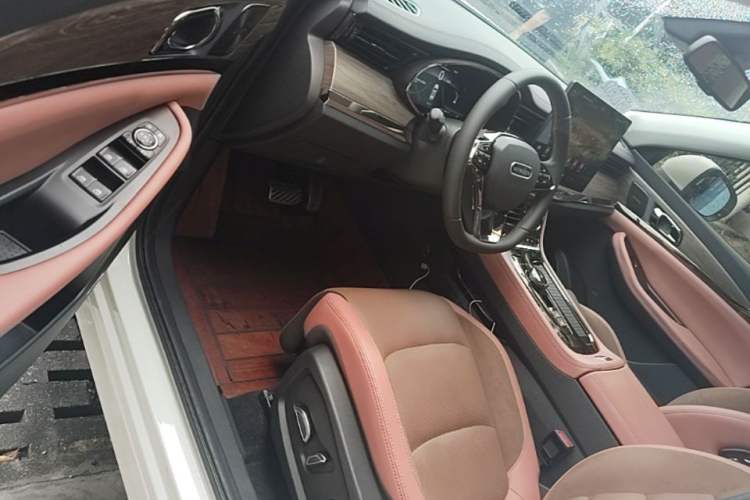 Used Skyworth EV6 2023 President's Edition Driver Seat