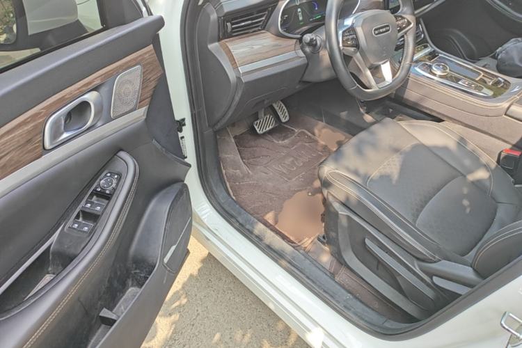 Used Skyworth EV6 2023 AIR model Driver Seat