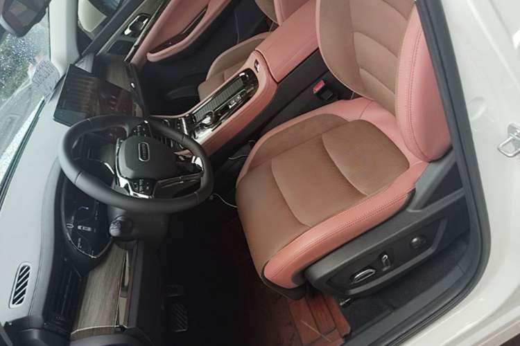 Used Skyworth EV6 2023 President's Edition Left Front Seat
