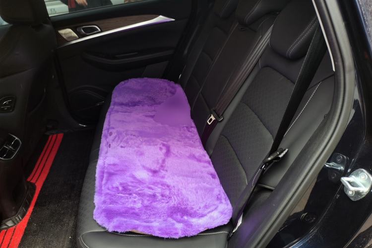 Used Skyworth HT-i 2024 1.5L PHEV 115KM Taidao Edition Left Rear Seat