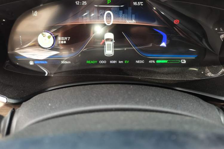 Used Skyworth HT-i 2024 1.5L PHEV 115KM Taidao Edition Odometer Close Up