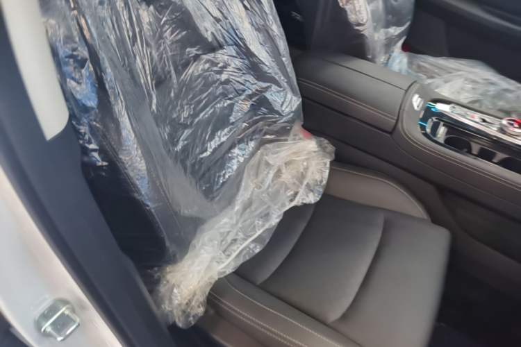 Used Skyworth HT-i 2024 1.5L PHEV 115KM Taidao Edition Right Front Seat