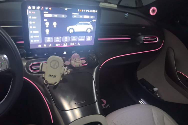Used smart #1 2022 Pulse Heartbeat Edition Audio And AC Panel