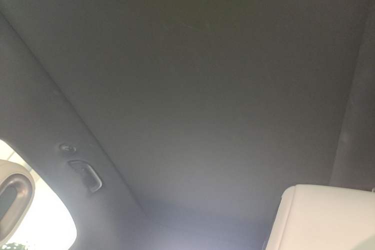 Used smart #1 2022 Pulse Heartbeat Edition Headliner