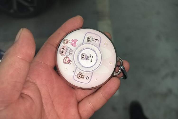 Used smart #1 2022 Pro+ Edition Vehicle Key
