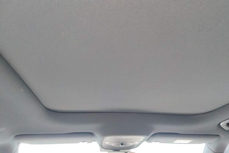 Used smart #1 2022 Premium Edition Headliner