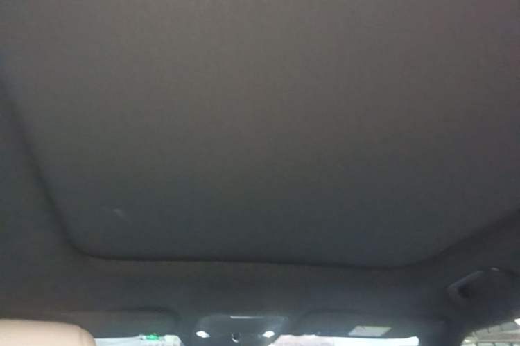 Used smart #1 2022 Premium Edition Headliner