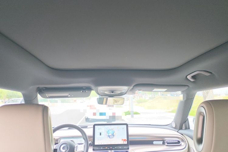 Used smart #1 2022 Premium Edition Headliner