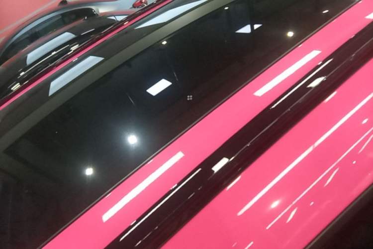Used smart #1 2022 Pulse Heartbeat Edition Roof