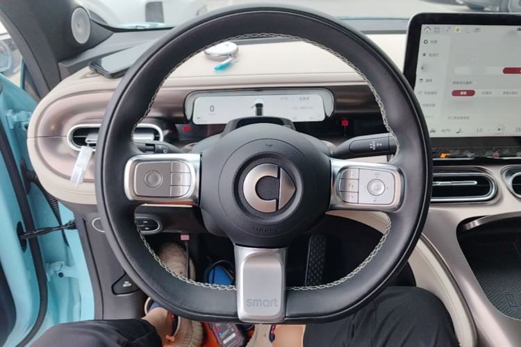 Used smart #1 2022 Premium Edition Steering Wheel