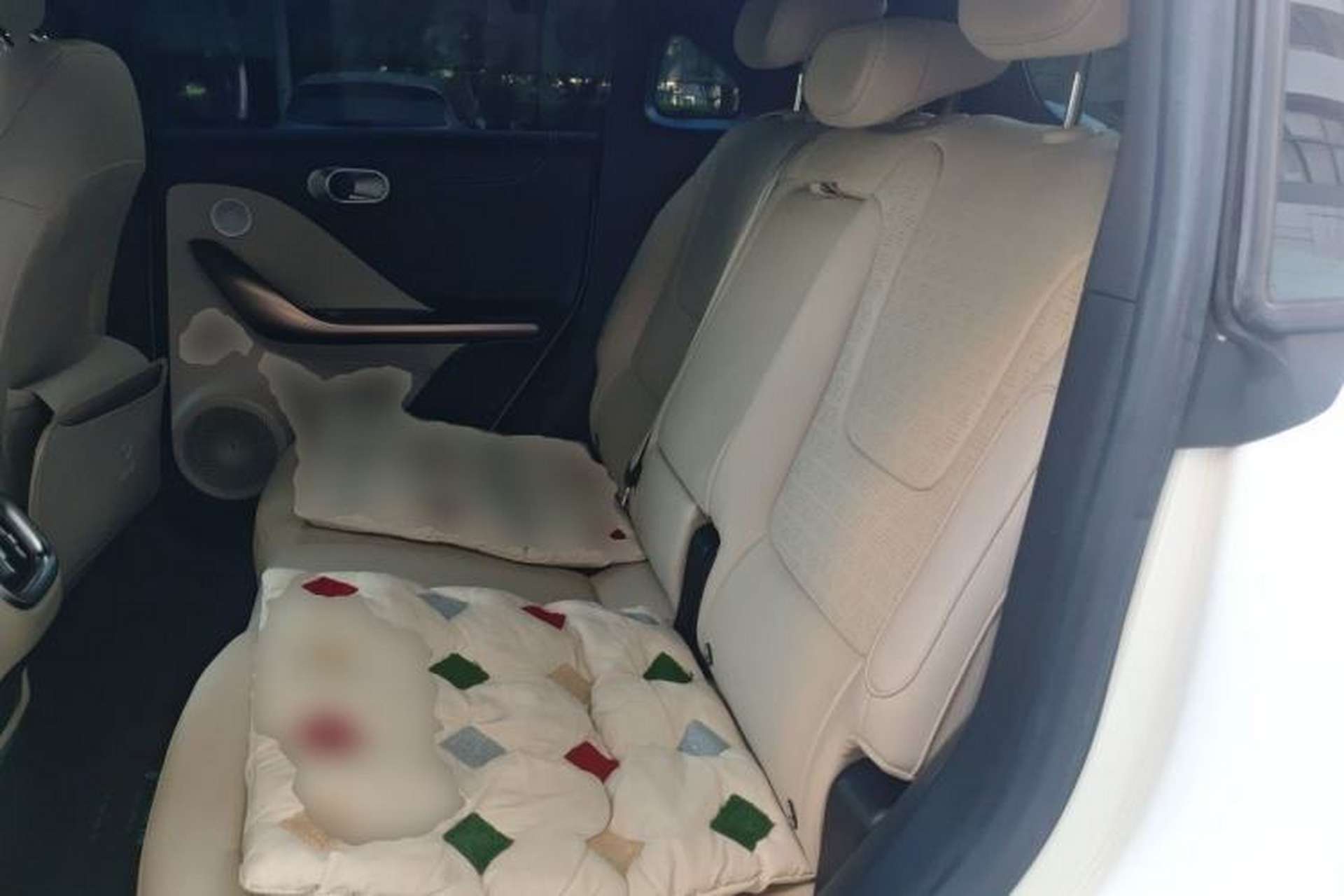 Used smart #1 2022 Pulse Heartbeat Edition Left Rear Seat