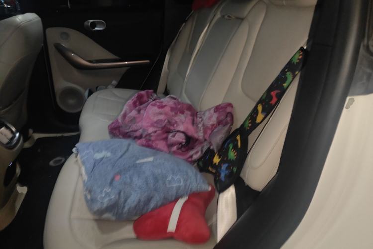 Used smart #1 2022 Pulse Heartbeat Edition Left Rear Seat