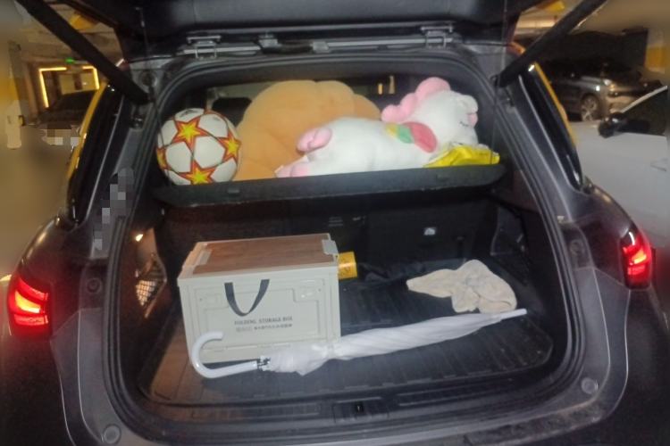 Used smart #1 2022 BRABUS Performance Edition Trunk
