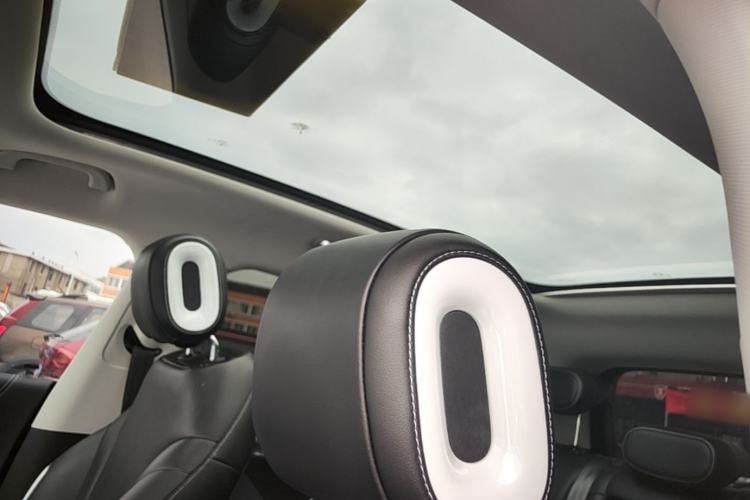 Used smart #1 2022 Premium Edition Headliner