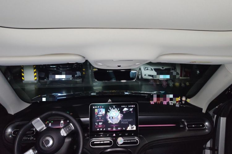 Used smart #1 2022 Pro+ Edition Headliner