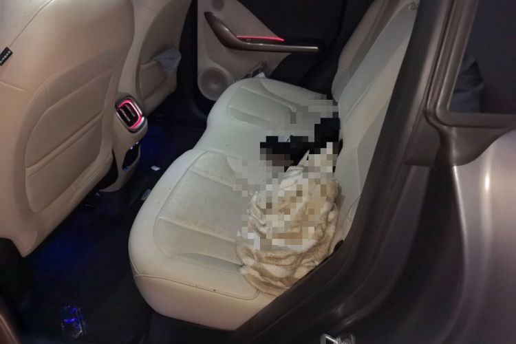 Used smart #1 2022 Premium Edition Left Rear Seat