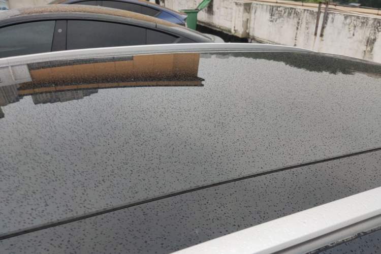 Used smart #1 2022 Premium Edition Roof