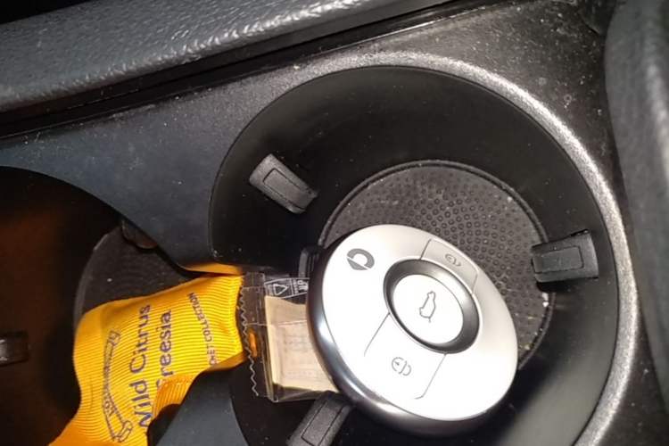 Used smart #1 2022 Premium Edition Vehicle Key