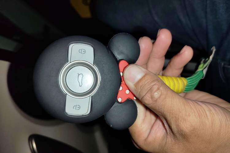 Used smart #1 2022 Premium Edition Vehicle Key