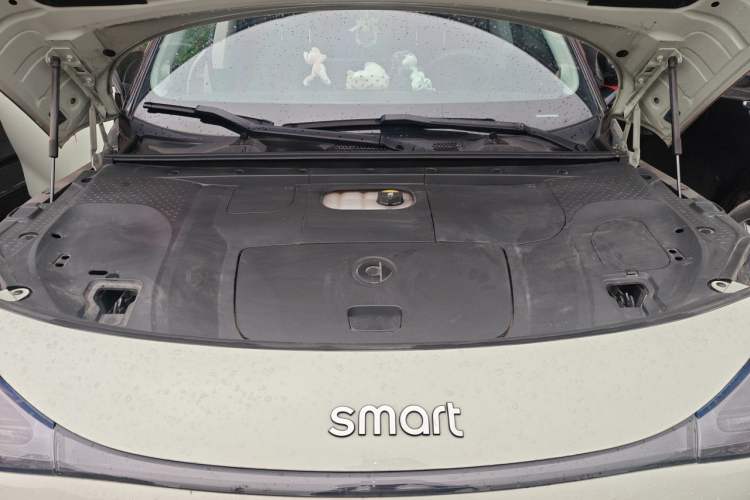 Used smart #1 2022 Premium Edition Engine Bay