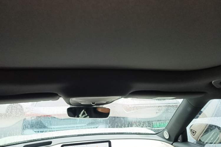 Used smart #1 2022 Premium Edition Headliner