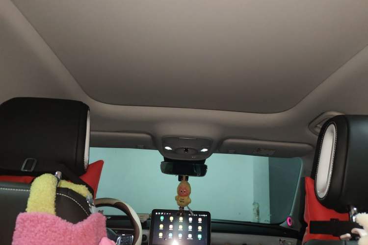 Used smart #1 2022 Premium Edition Headliner