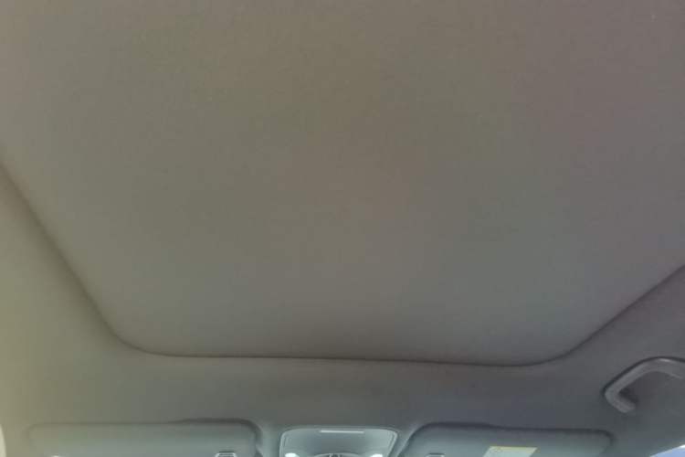 Used smart #1 2022 Premium Edition Headliner