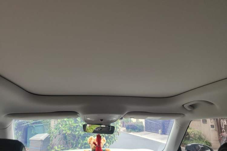 Used smart #1 2022 Pro+ Edition Headliner