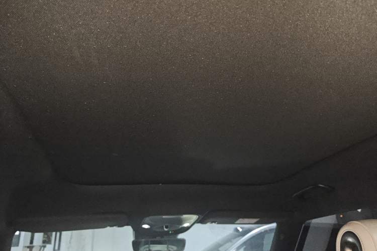 Used smart #1 2022 Premium Edition Headliner