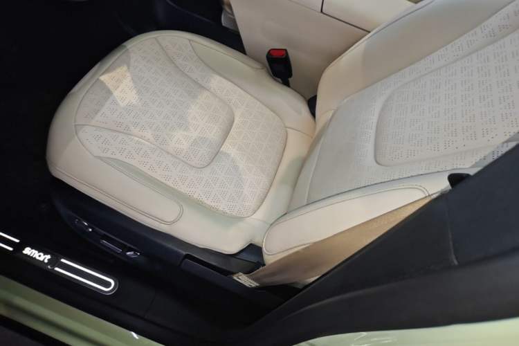 Used smart #1 2022 Premium Edition Left Front Seat