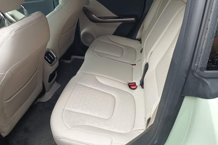 Used smart #1 2022 Premium Edition Left Rear Seat