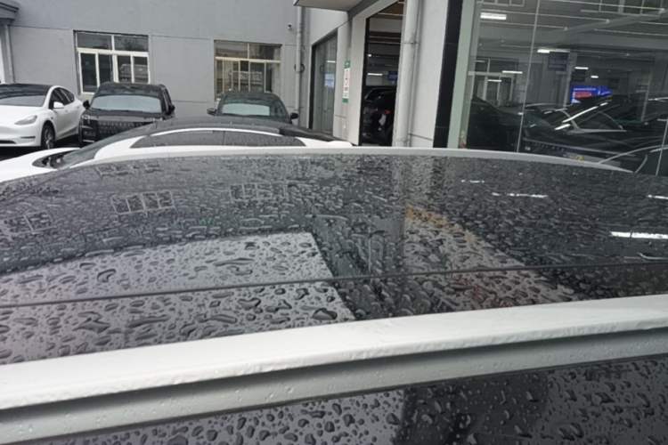 Used smart #1 2022 Premium Edition Roof