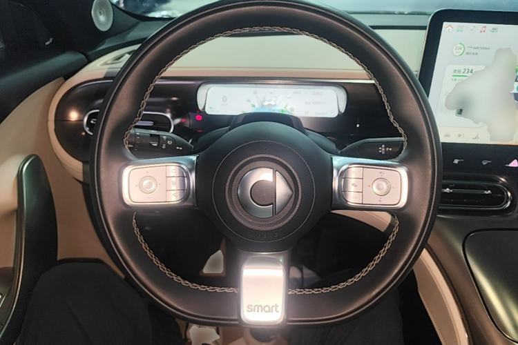 Used smart #1 2022 Premium Edition Steering Wheel