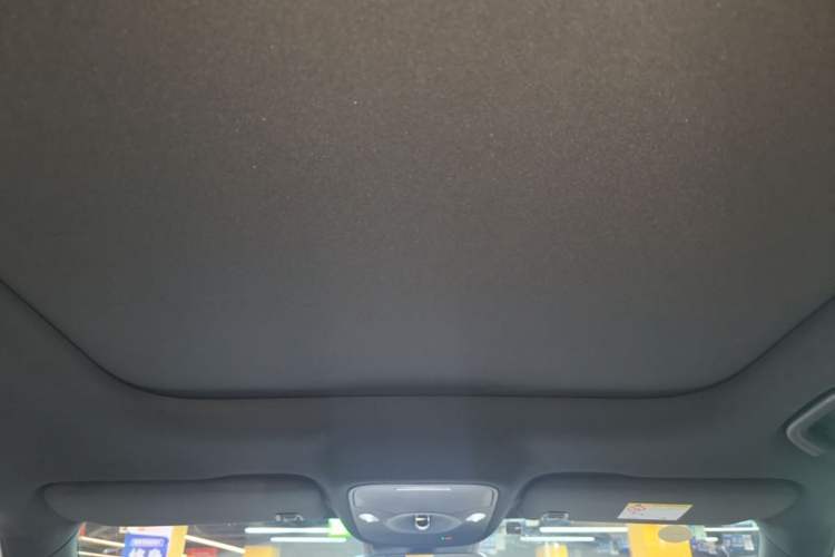 Used smart #1 2022 Premium Edition Headliner