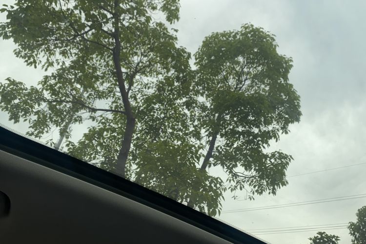 Used smart #1 2022 Pro+ Edition Headliner