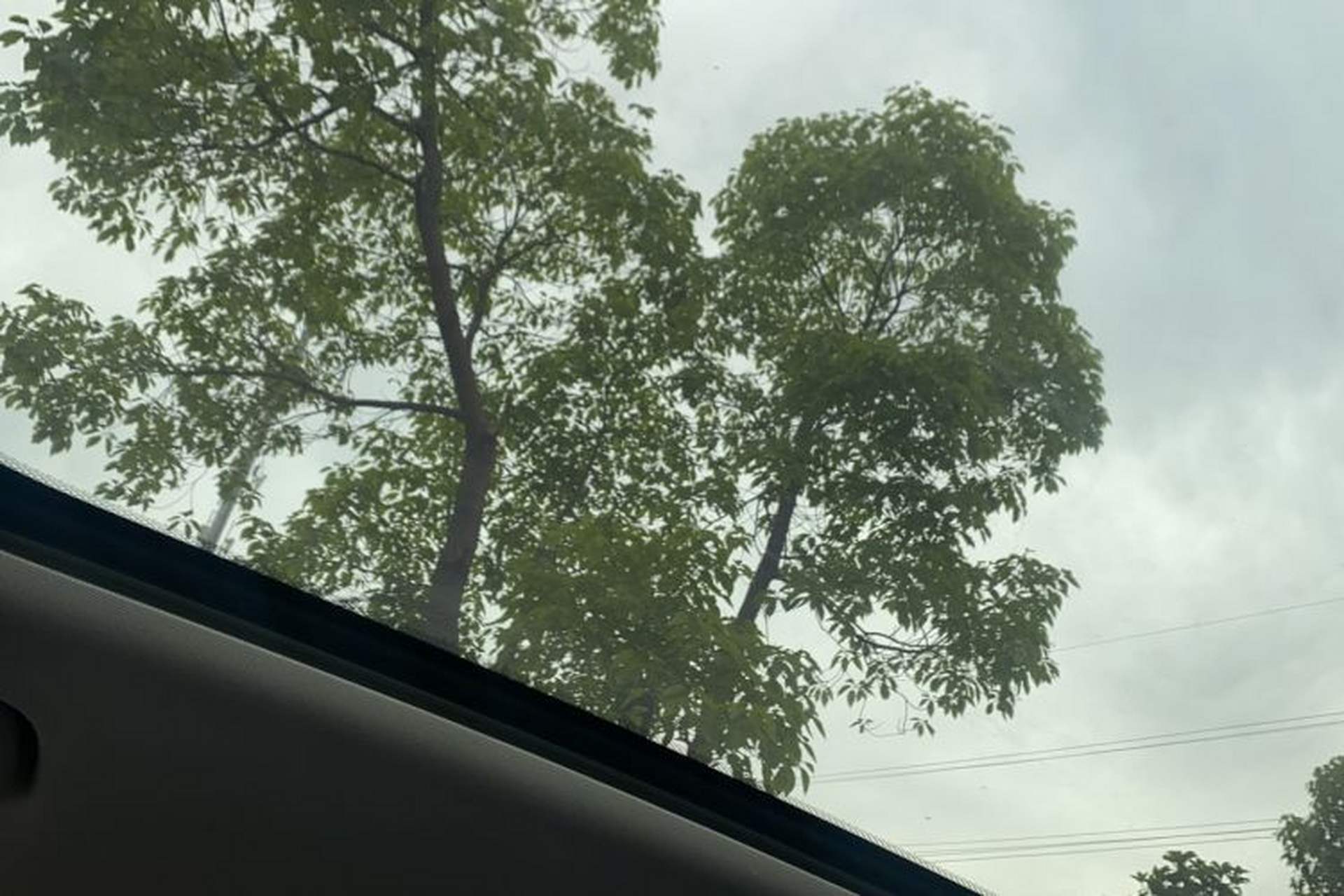 Used smart #1 2022 Pro+ Edition Headliner