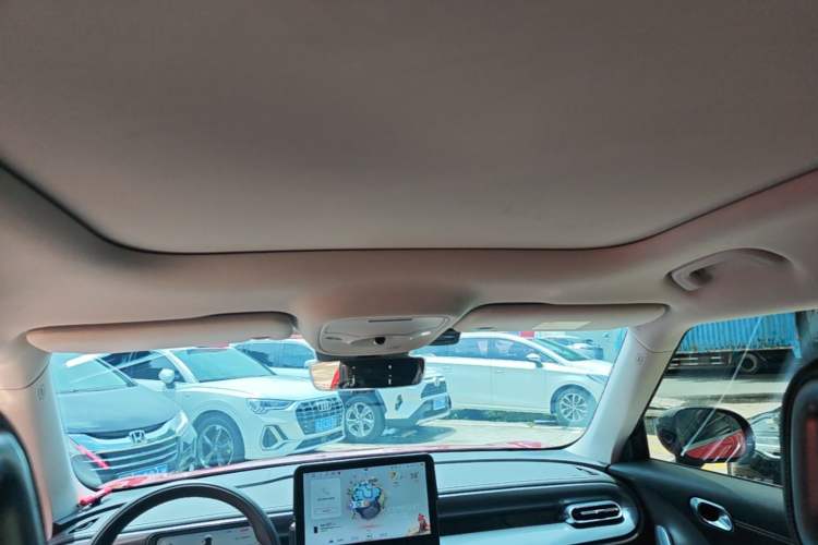 Used smart #1 2022 Pro+ Edition Headliner