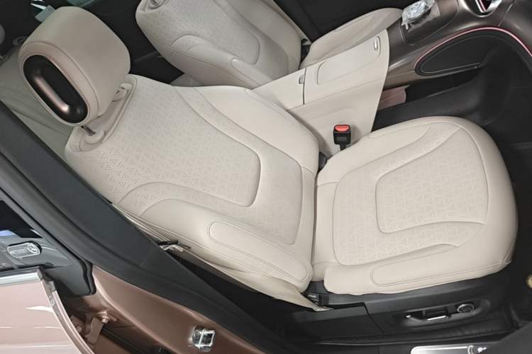 Used smart #1 2022 Pulse Heartbeat Edition Right Front Seat