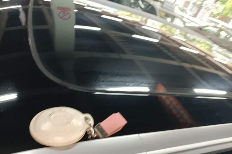Used smart #1 2022 Premium Edition Roof