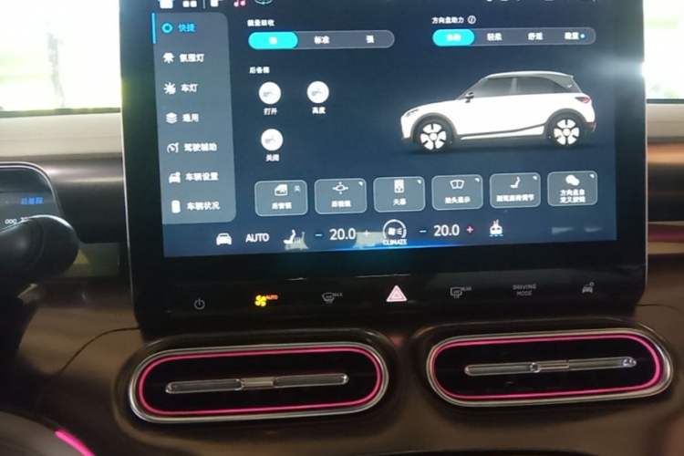 Used smart #1 2022 Premium Edition Audio And AC Panel