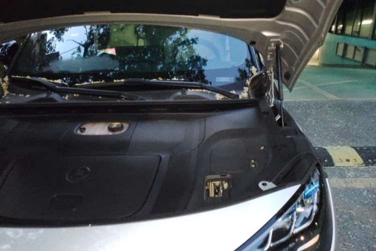 Used smart #1 2022 Pro+ Edition Engine Bay Left