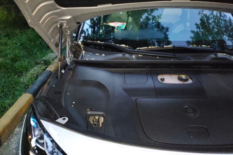 Used smart #1 2022 Pro+ Edition Engine Bay Right