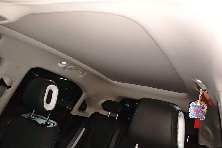 Used smart #1 2022 Premium Edition Headliner
